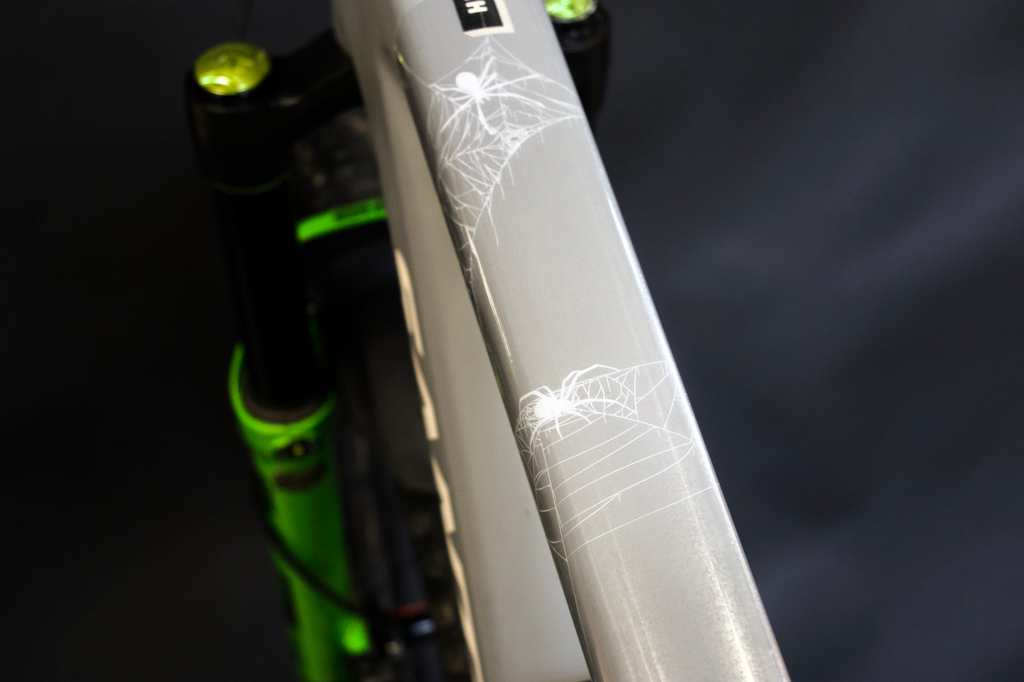 SPIDER WHITE XL